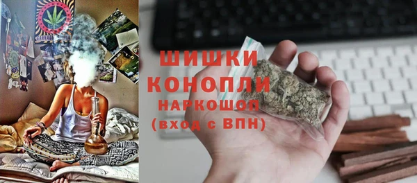гидра Алексеевка