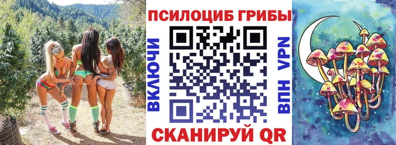 Галлюциногенные грибы Magic Shrooms  продажа наркотиков  Белореченск 