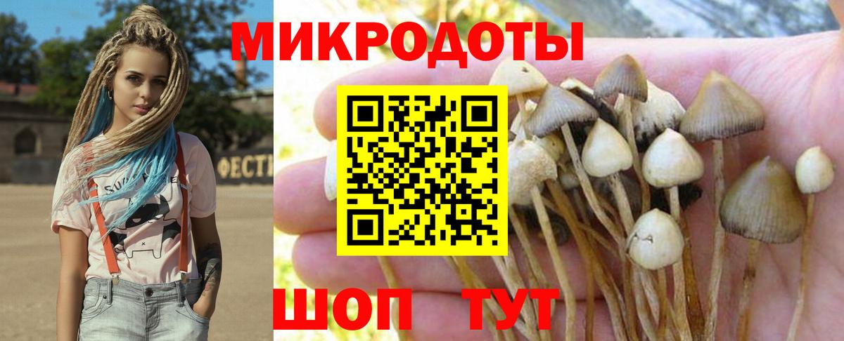 Галлюциногенные грибы GOLDEN TEACHER  Вход с VPN  Белореченск 