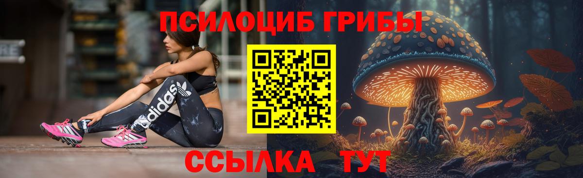 Галлюциногенные грибы GOLDEN TEACHER Белореченск